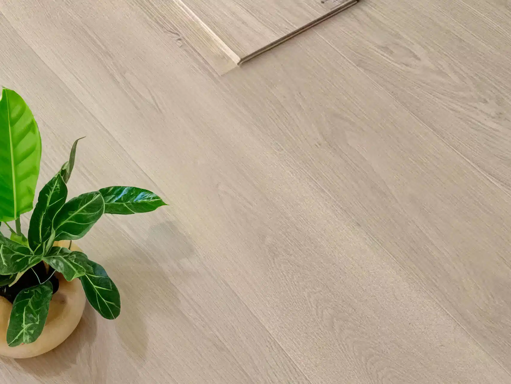 Floor with plant pot Floor with plant pot